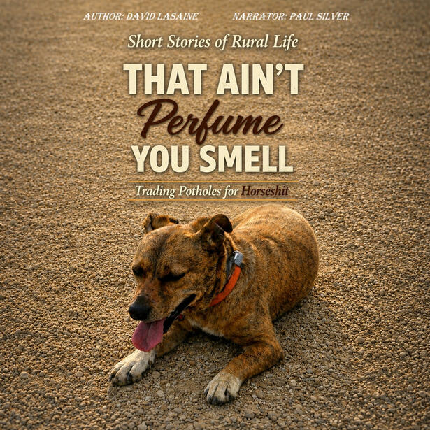 That Ain't Perfume You Smell by David Lasaine