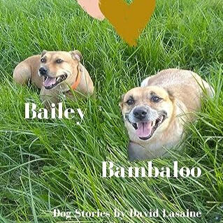 Rescued FInding Unconditional Love by David Lasaine